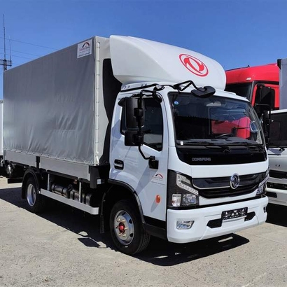DONGFENG Z80N